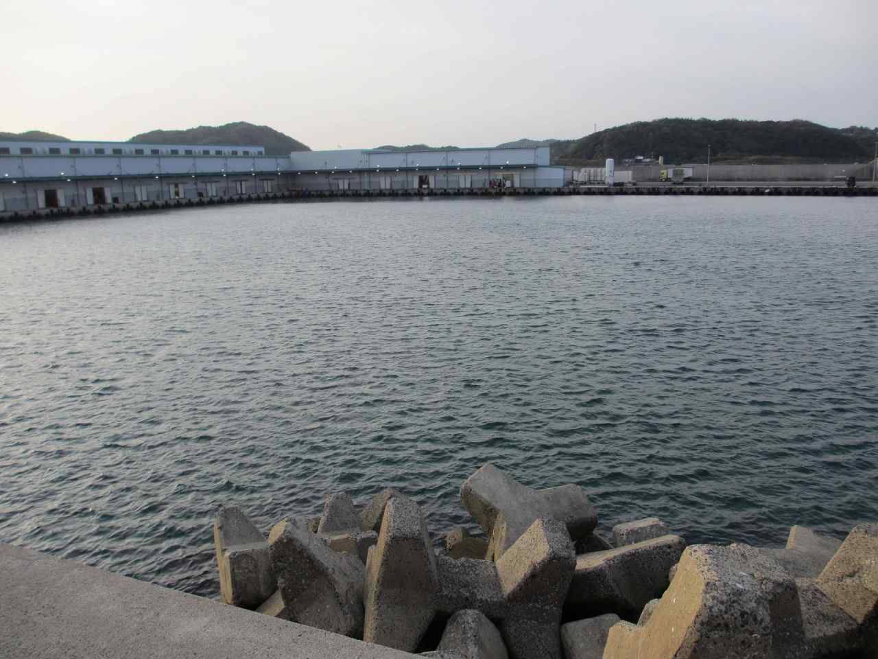 島根県の海釣り・大田市・和江漁港